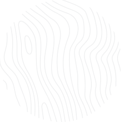 Aquivis Technologies- The number one most outstanding IOT organisation